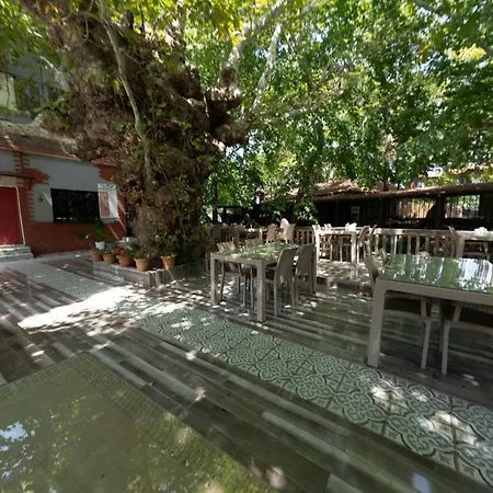 Antique Manastir Boutique فندق ادرميت