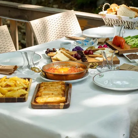 فندق Antique Manastir Boutique ادرميت